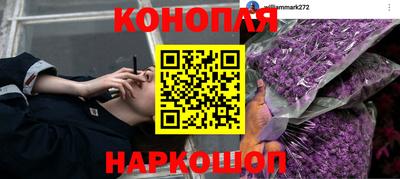 МДПВ Пушкино