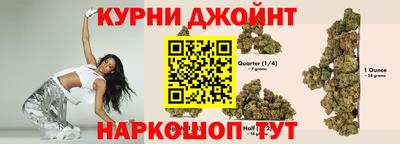 МДПВ Пушкино