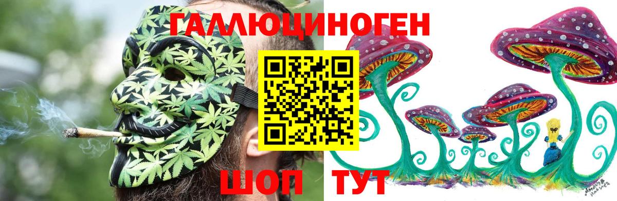 Галлюциногенные грибы GOLDEN TEACHER  Псилоцибиновые грибы GOLDEN TEACHER  Сафоново  Вход с VPN 