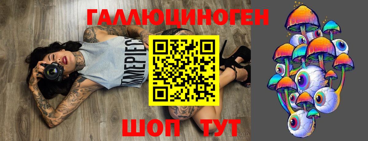 Галлюциногенные грибы Cubensis Сафоново